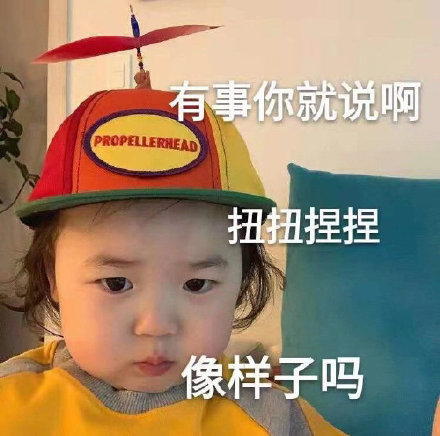 我只是个肥宅表情包,表情包我能插嘴吗