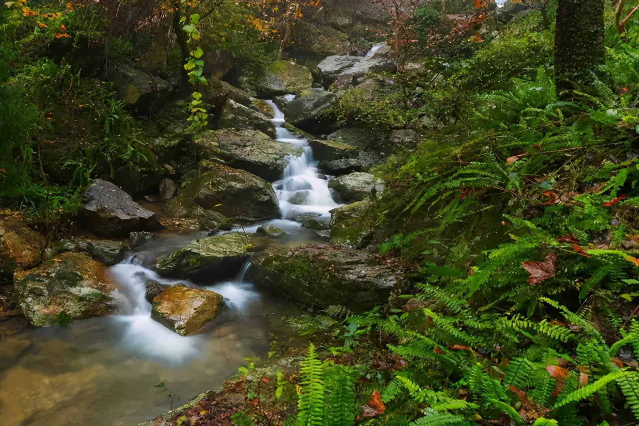 平阳最值得一去的地方,平阳一日游最佳去处青街