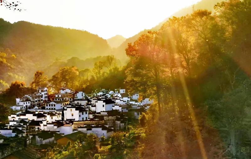 婺源人游玩,婺源本地人眼里婺源的游玩攻略