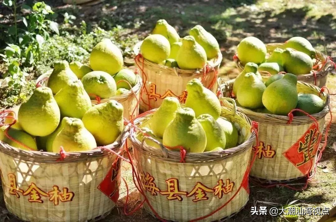 广东21个地方名称由来,广东21个城市地理排名