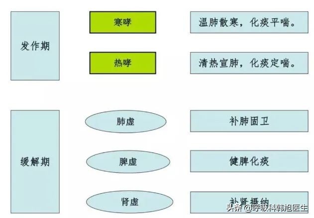 中药可以治哮喘病根吗,哮喘的中医药治疗的机理