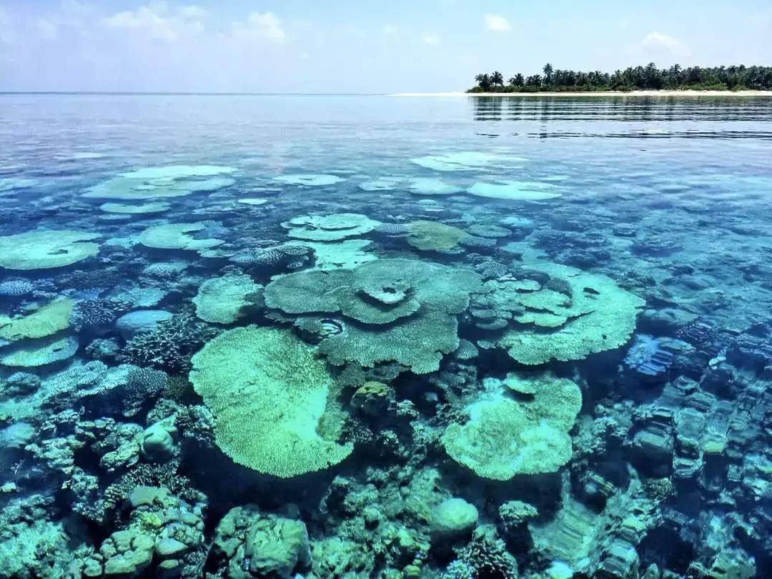 马尔代夫选岛就像选包,马尔代夫选岛丽笙岛