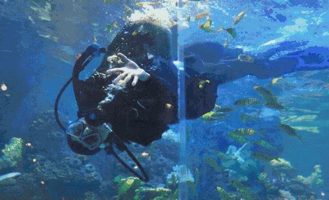 北京老牌水族馆富国海底世界，49.9元1大1小探险蓝色海洋的秘密