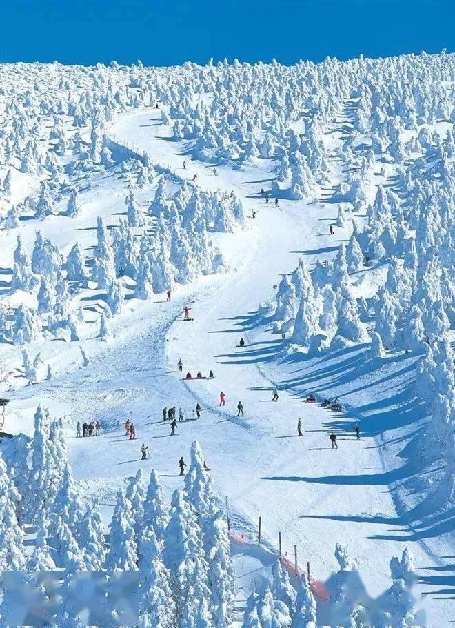 漠河湖被冻成冰的瞬间,漠河冰雾形成