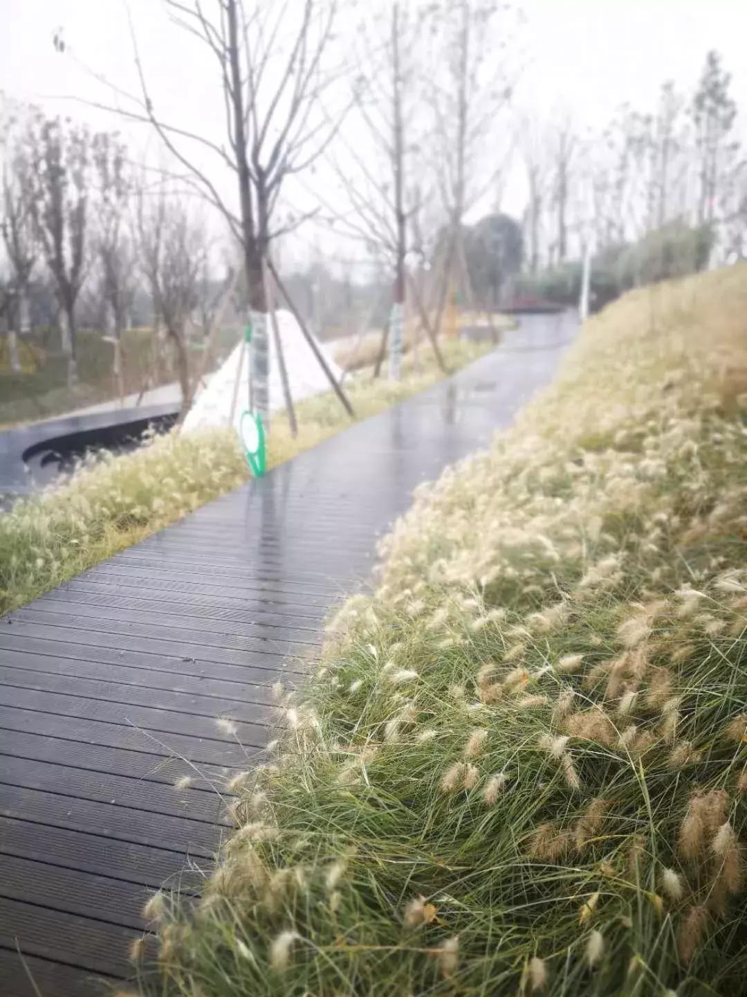 成都凤凰山露天音乐公园门票,成都露天音乐公园夜景视频