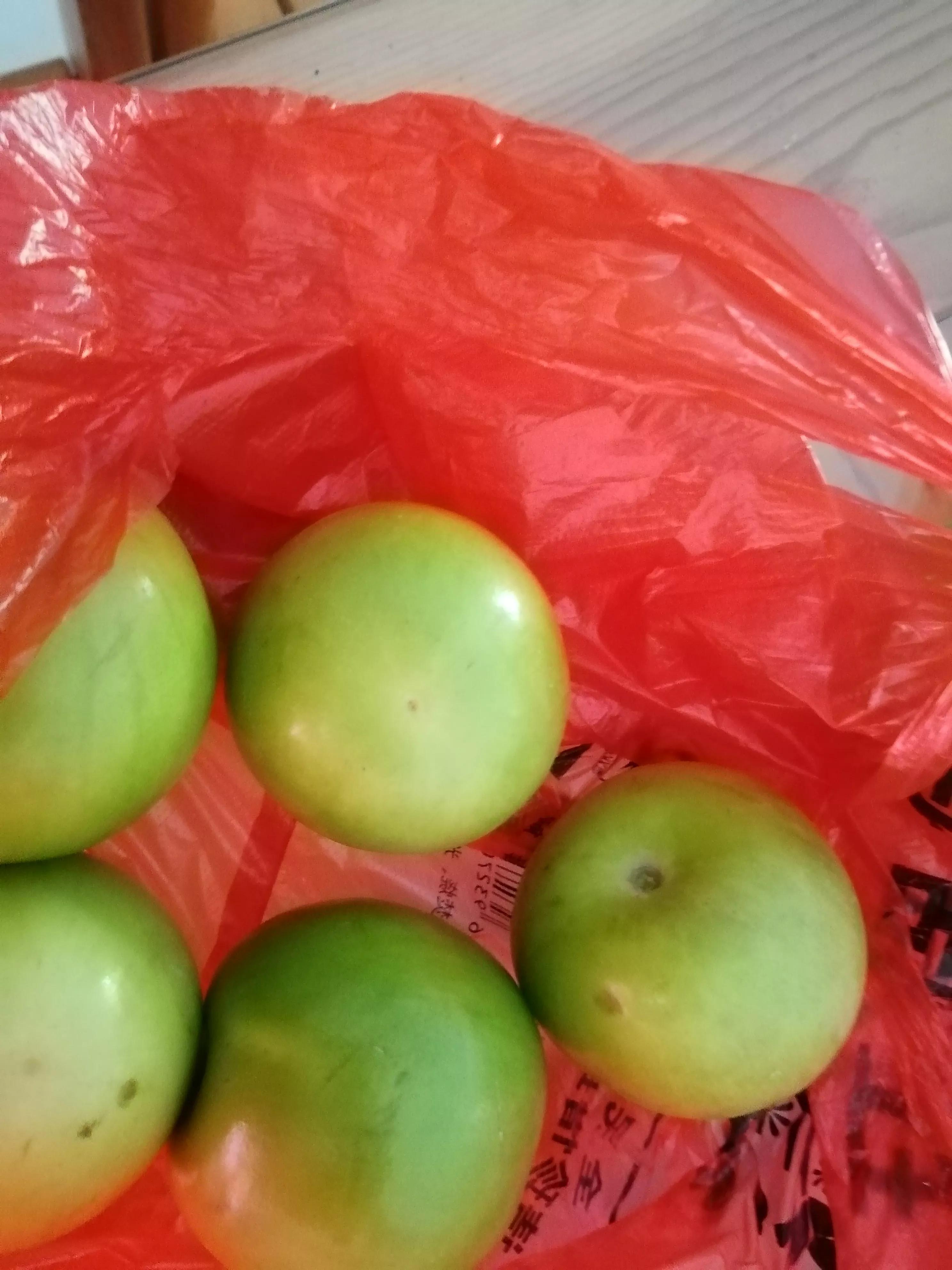 难忘的第一次100字,难忘的第一次三年级300字作文