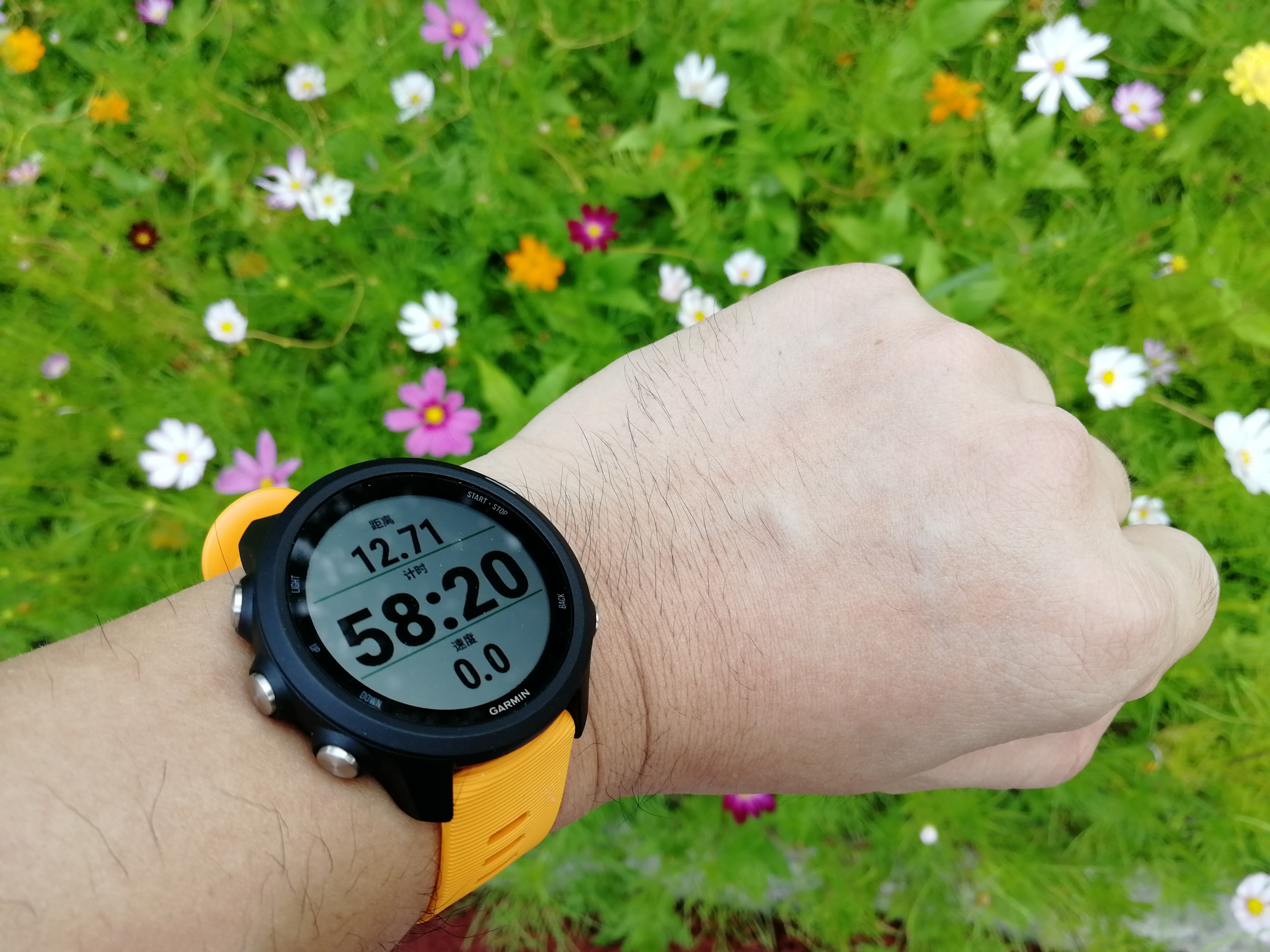 十款最佳运动手表男款,运动手表排行榜前十名运动手表