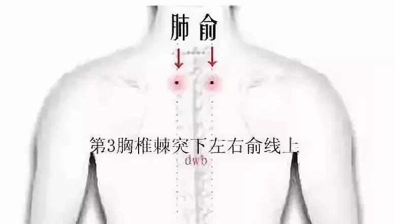 手脚冰冷？背部生寒？胃痛腹泻？该如何调理（附原因及治疗方法）