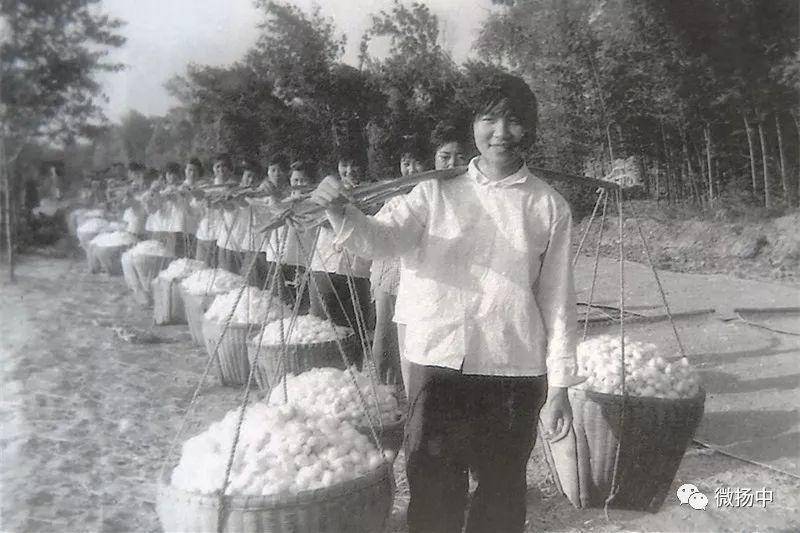 鎵腑琛ｆ湇濂宠,鎵腑鏈嶈