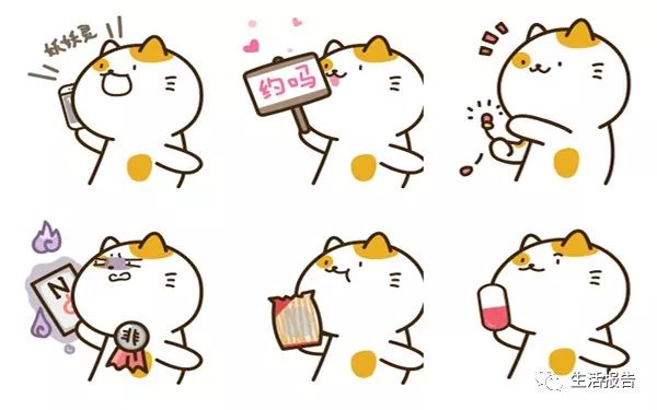 仅8.2%的猫粮符合标准！你是个合格的铲屎官么？