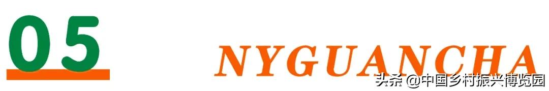 乡村振兴产业方面存在的问题,乡村振兴最有前景九大产业