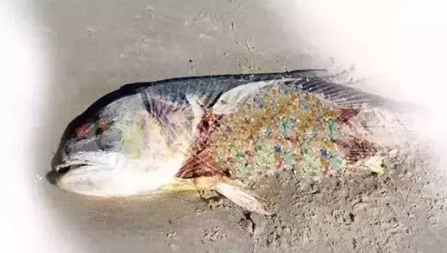 救救她韩语,救救她