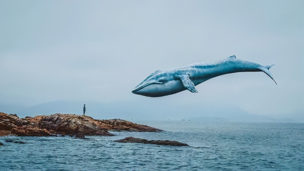 地球上的孤独地方,地球上最孤独的坐标