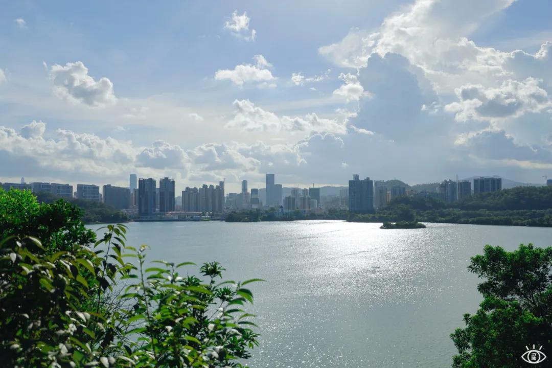 深圳这10条绿道你去过没,深圳十大绿道排行榜