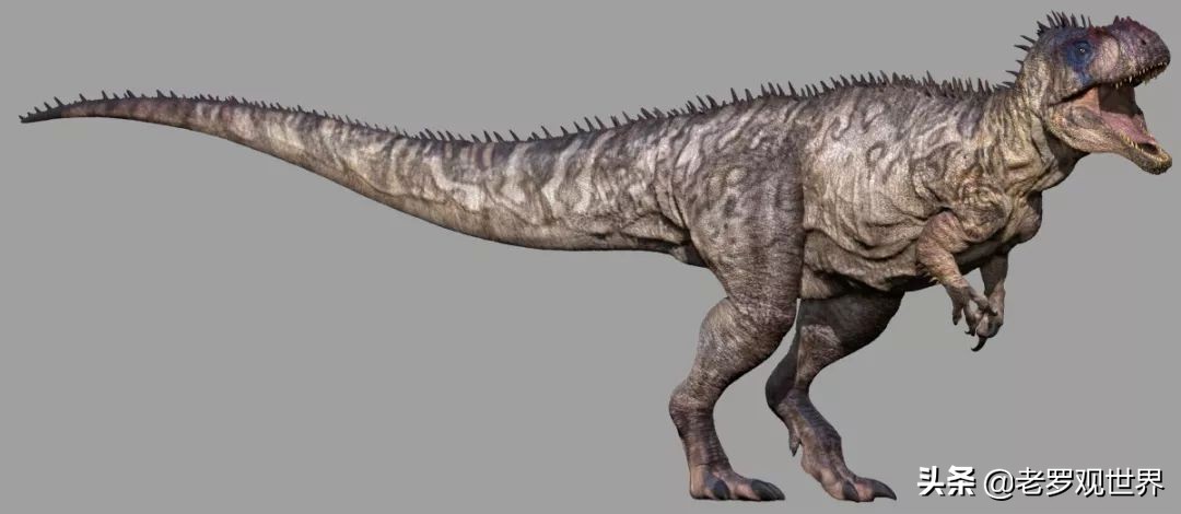 寻找重庆的前世今生之旅,重庆山水前世今生