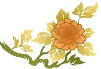 享受自家小院这悠闲时光,享受独处小院时光