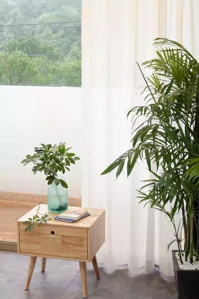 央视挖出来浙江冷门小城，小小鸭头都是世间绝味，人均100+住别墅