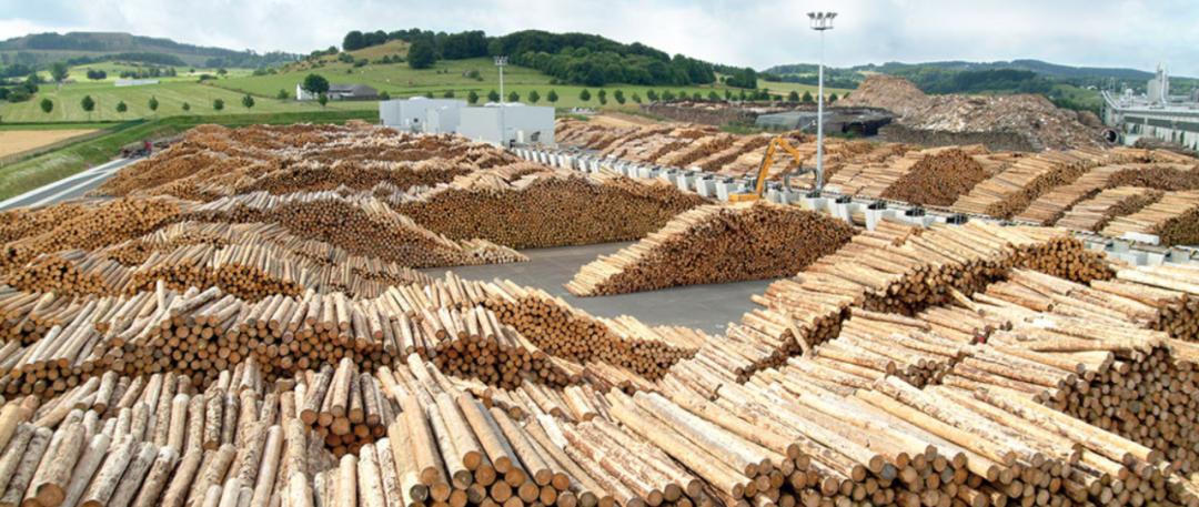 买爱格板需要了解什么,爱格板有假的吗