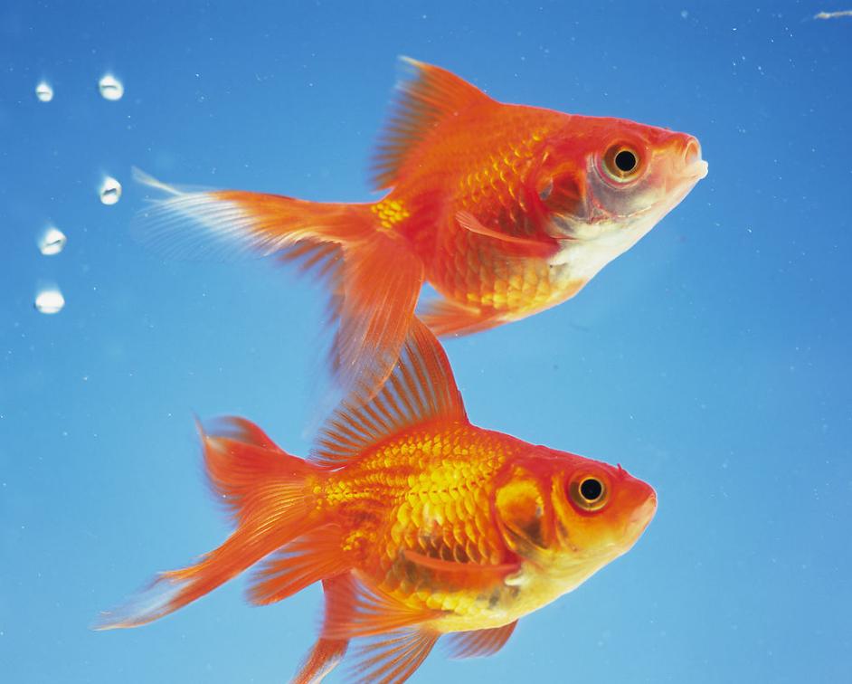 夏天的太阳一年级绘画,少儿美术绘画教程秋天