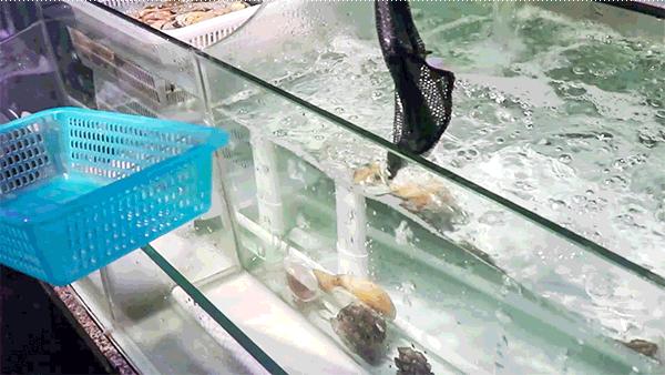 莆田市小香港,莆田涵江小香港