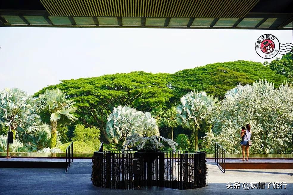 新加坡旅游住酒店攻略,去新加坡旅游住宿怎么选择