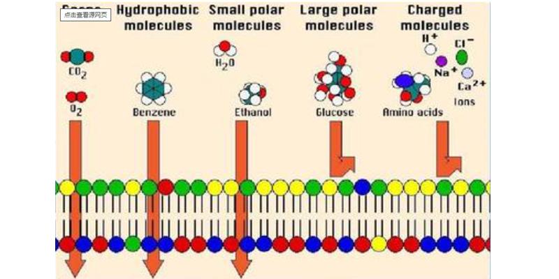 nsp选择性过滤技术的净水机,选择性过滤和反渗透净水器测评