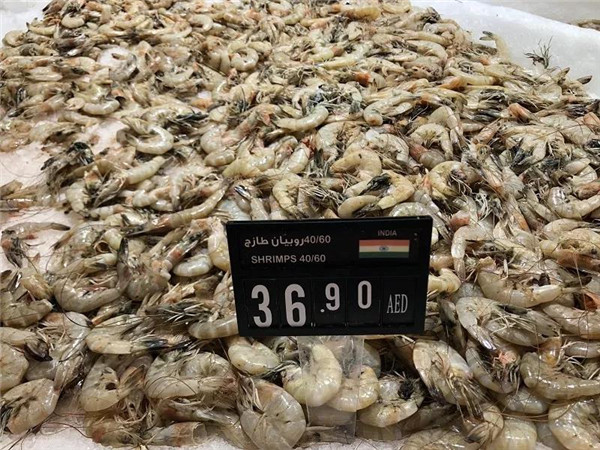 在迪拜生活到底贵不贵,迪拜打车贵不贵