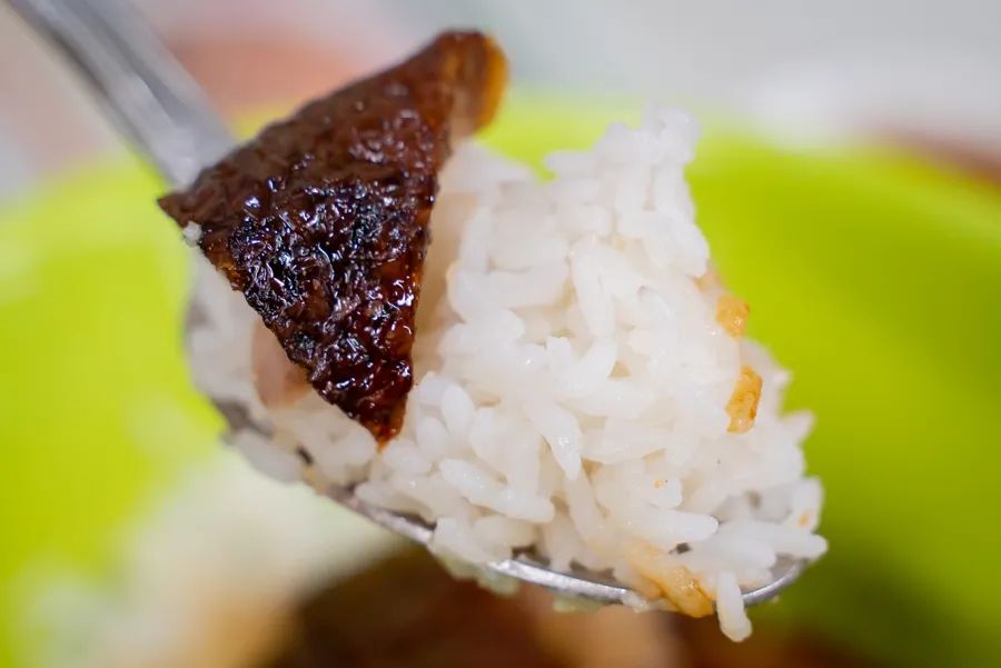 魔都粉鸭哪家好吃,烧鸭油鸡饭哪个好吃