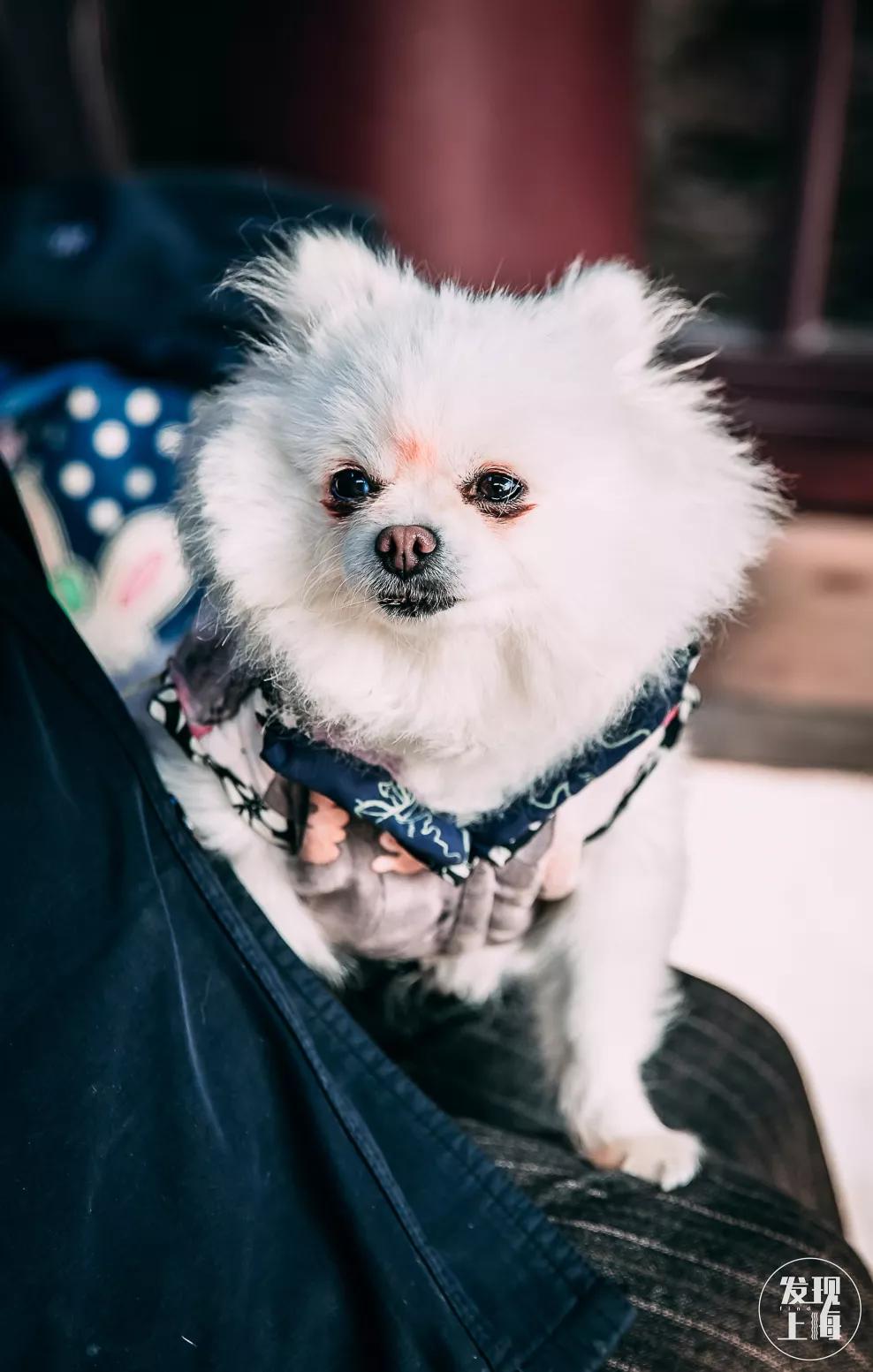 松江千年古镇,松江上海之源