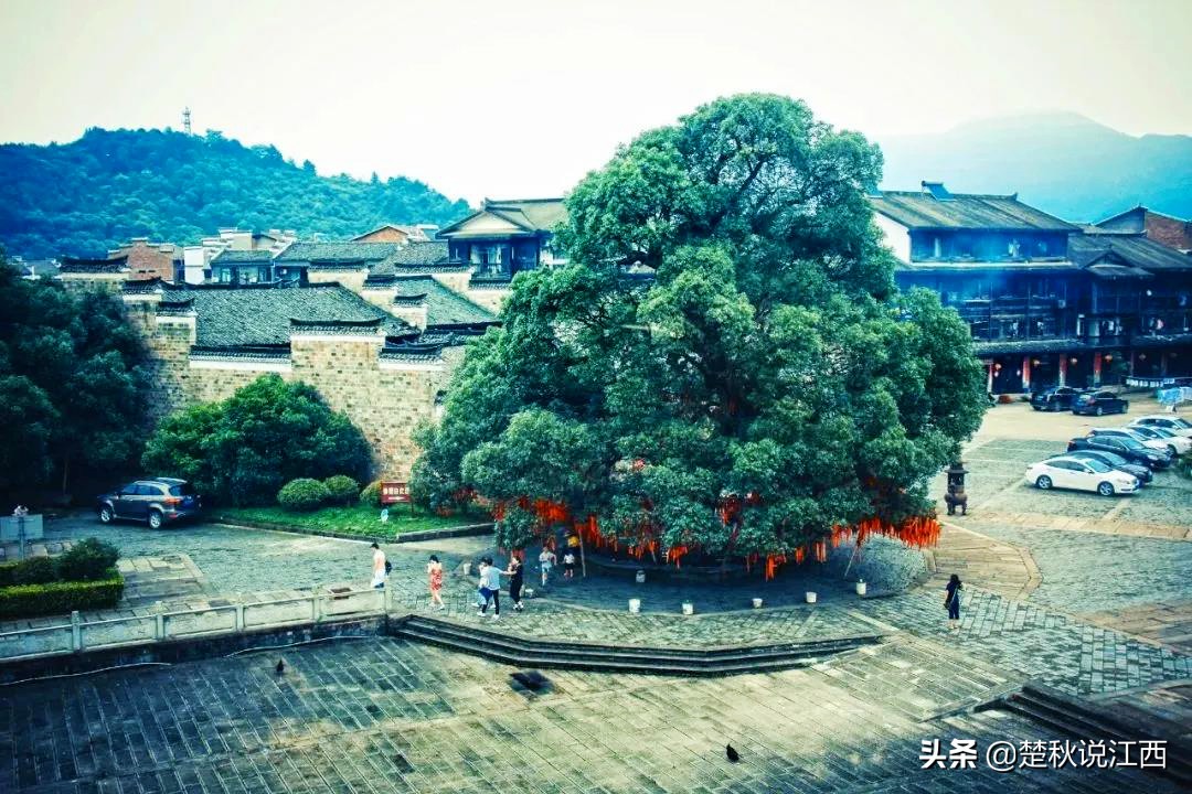 江西鹰潭属于赣北吗,江西鹰潭属于上饶吗