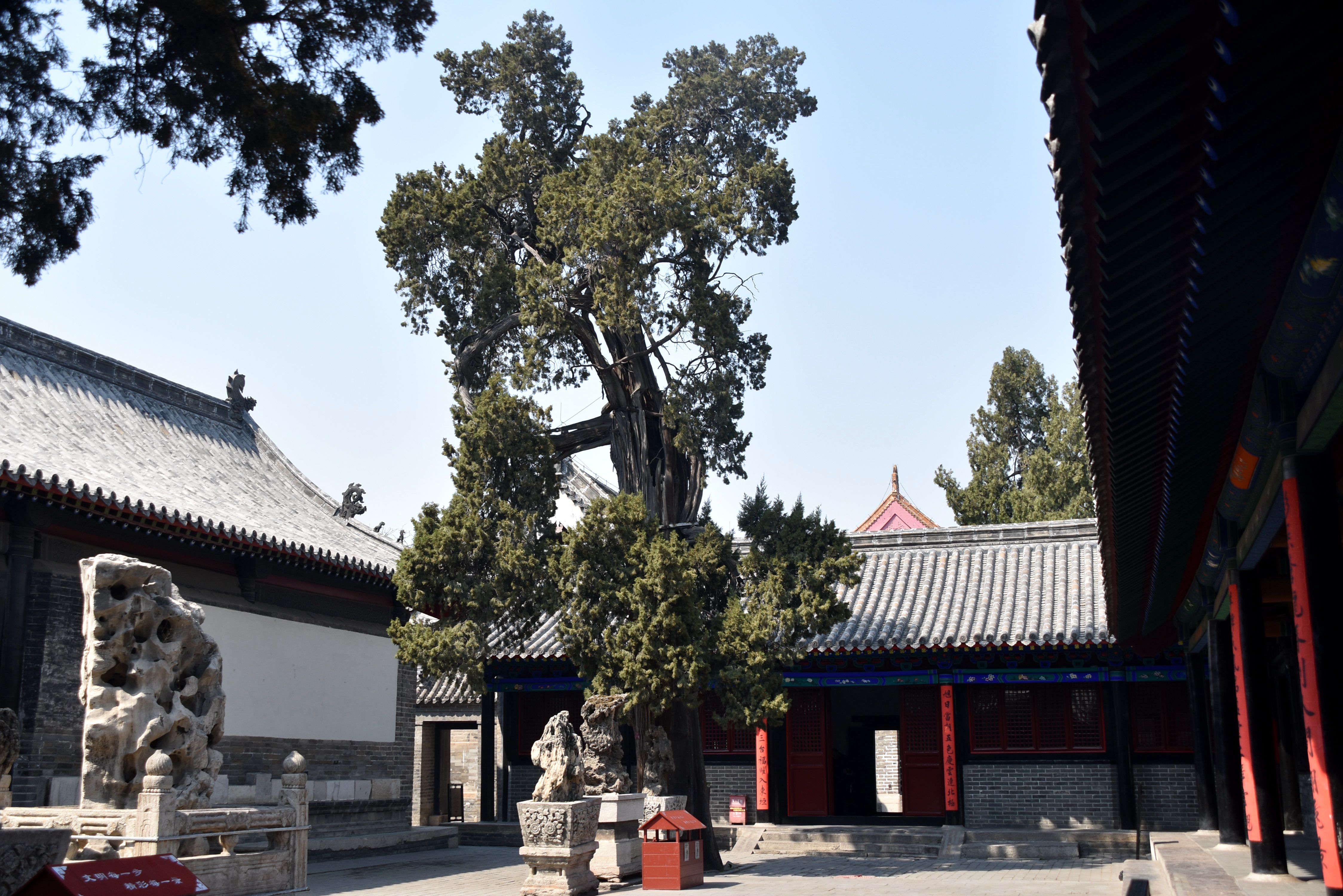 孔府里有一幅《戒贪图》,大义凛然,用心良苦,大家知道吗?