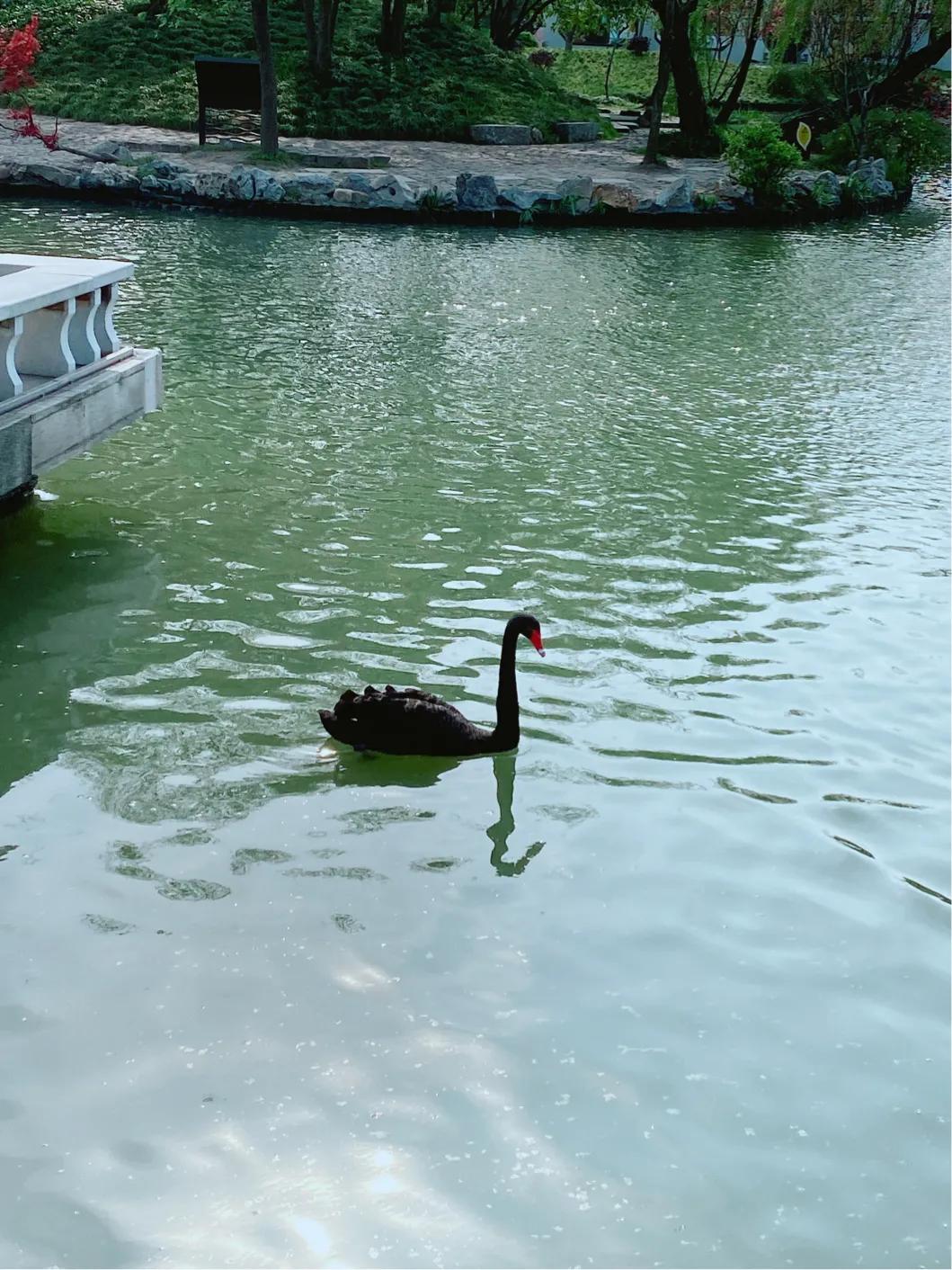 扬州第一站是瘦西湖吗,扬州古运河第一馆