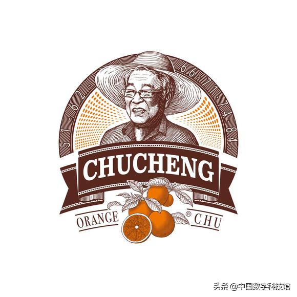 褚橙是什么品种的橙子,褚橙和褚橙橙汁是一个东西吗