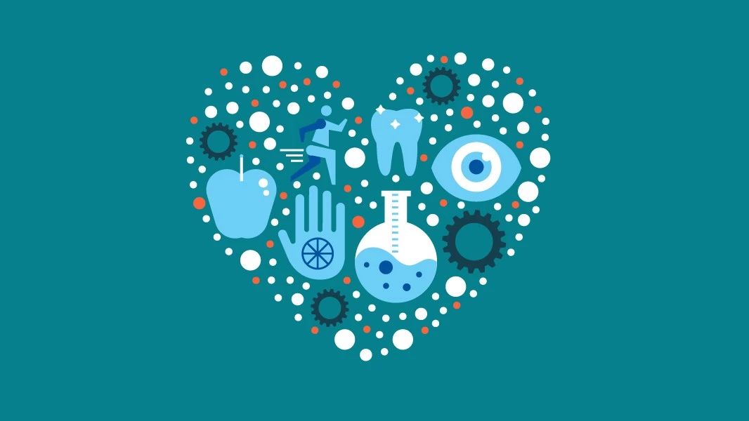 白带常规还叫什么名字,白带常规结果解读