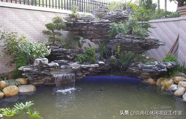 鱼树栽屋前好还是屋后好,阳宅不宜栽什么树