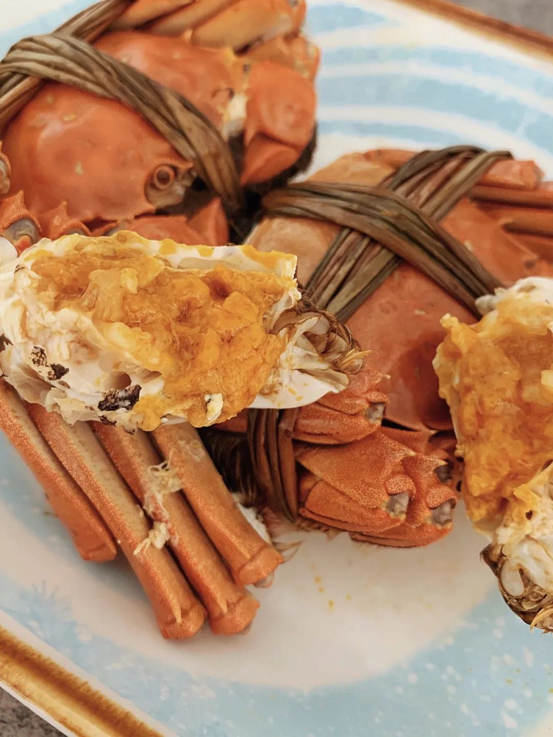 山东东营位置,这就是东营