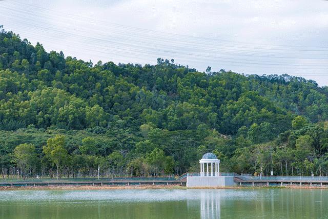 深圳最适合亲子游的好去处,深圳周末家庭游玩好去处