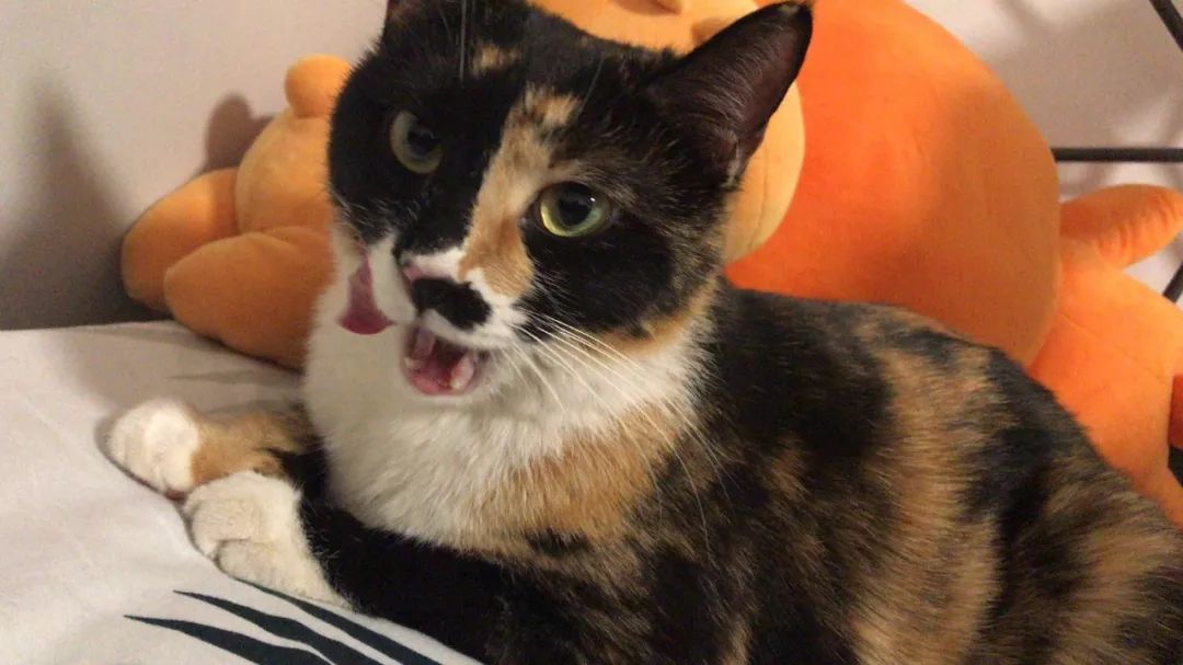 你和富豪的差距只差一个习惯,你和富人的差距只有一点