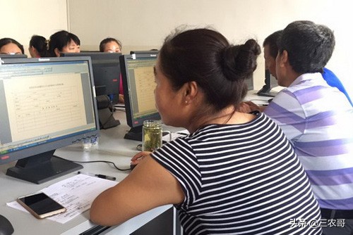 在农村真正赚大钱的项目有哪些,农村普通项目也能赚大钱