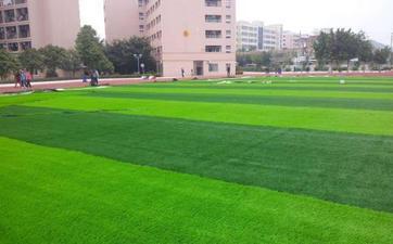 红魔曼联今日消息,沙特财团收购的足球俱乐部