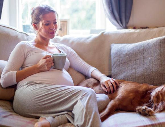 快速怀孕有技巧备孕可要注意了,想要宝宝女性要注意什么