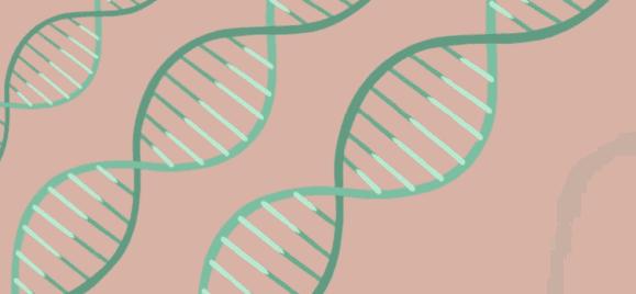 怎么才能快速有效的淡斑?怎样才能祛斑的正确方法