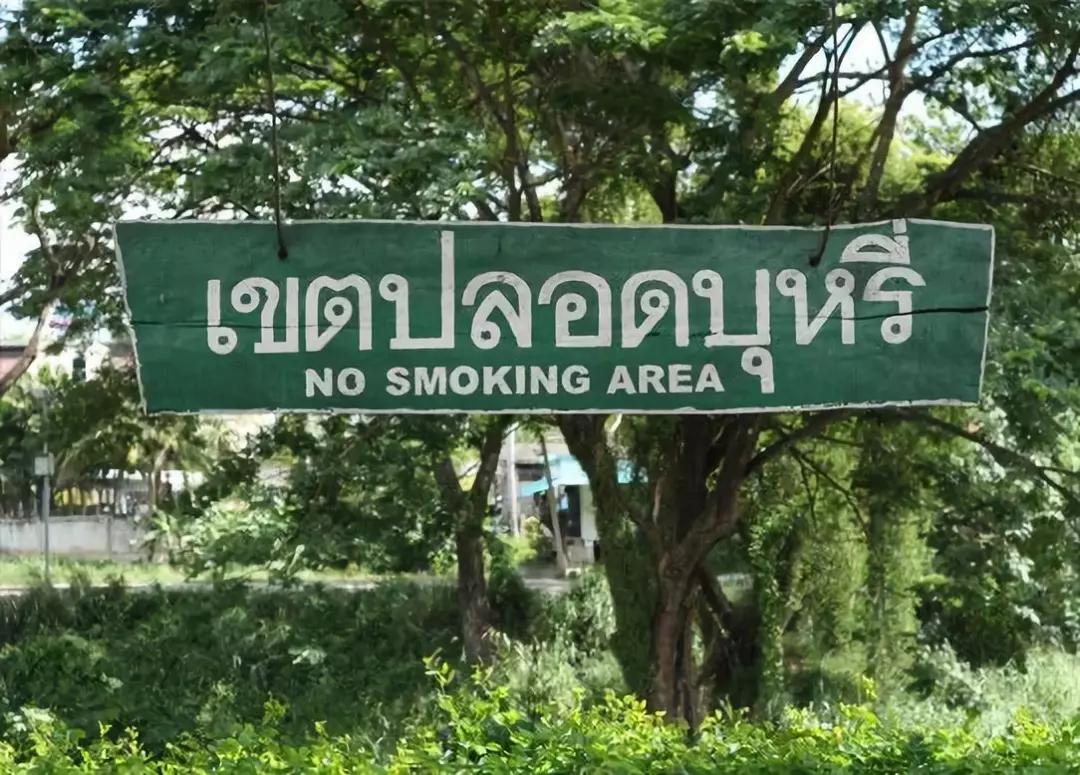 泰国酒店为什么不让带榴莲,为什么泰国酒店不让带榴莲