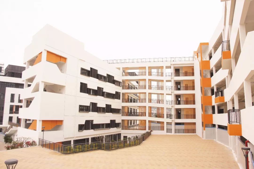 深圳福田区2021年小学入学积分,深圳中学坪山创新学校2021年积分