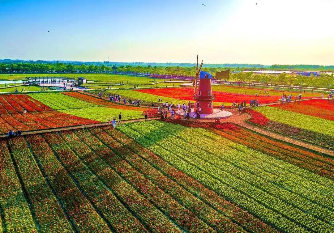 合肥被评为最宜居的城市,西安与合肥哪个宜居