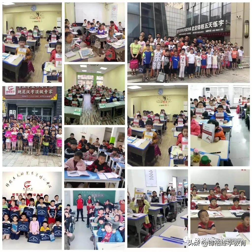 锋格练字新学员测评,锋格练字教师培训