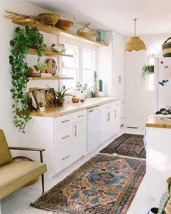 厨房除油烟味的植物,厨房吸油烟除异味