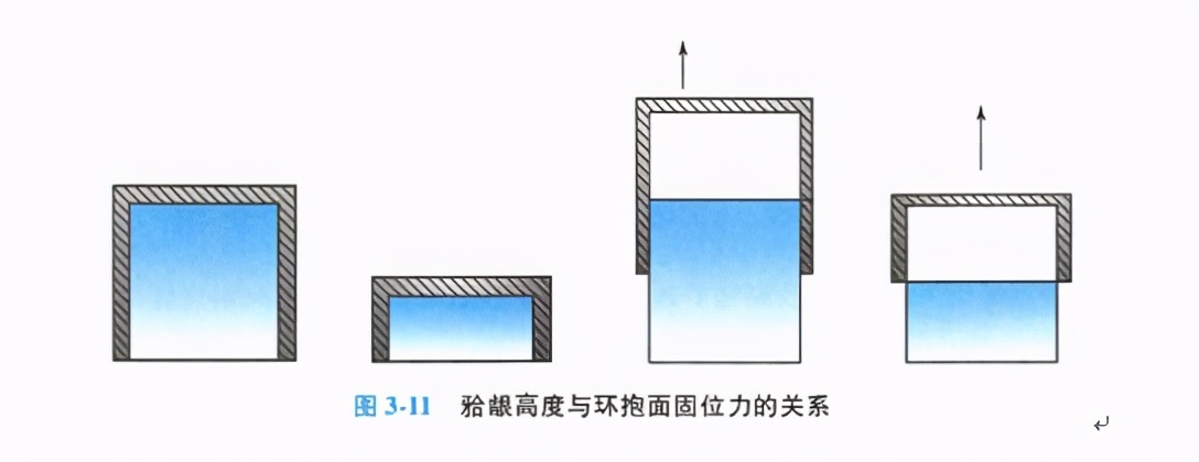 牙齿缺损修复去哪家牙科医院,牙科门牙缺损修复照片