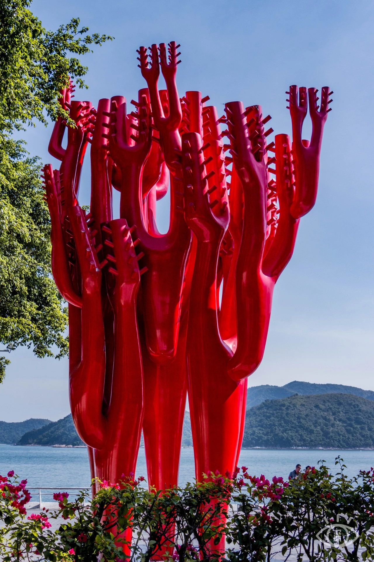 深圳绝美小岛景点介绍,深圳有哪些绝美的海景