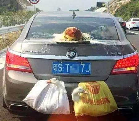 15式轻坦驰骋高原,15式轻坦高原装甲